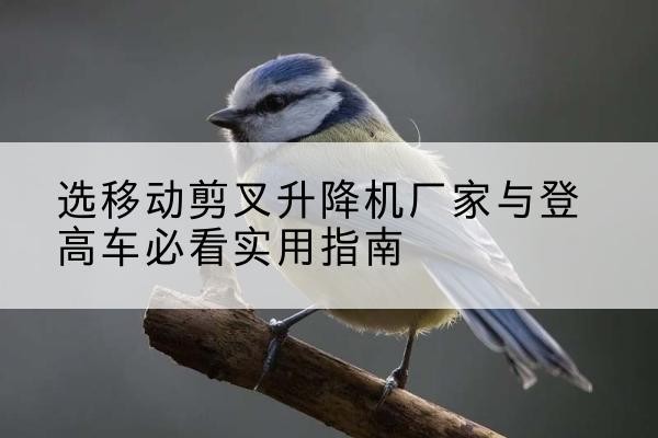 临洮电动升降机厂家-选移动剪叉升降机厂家与登高车必看实用指南