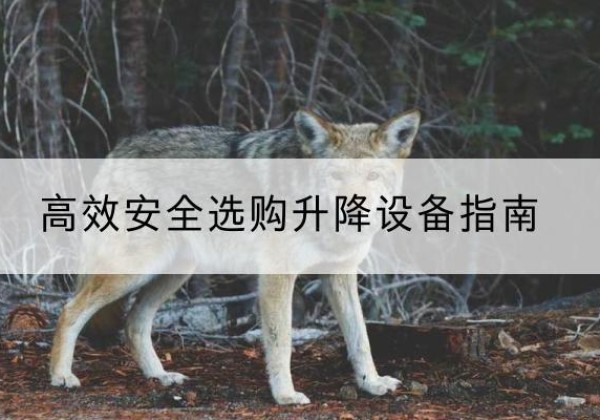 临洮升降货梯厂家推荐-*安全选购升降设备指南