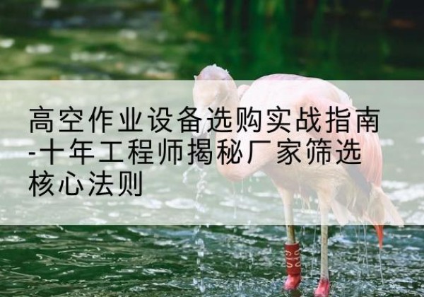 临洮剪叉式升降机厂家-高空作业设备选购实战指南-十年工程师揭秘厂家筛选核心法则